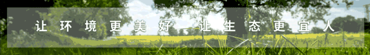 倏忽温风至  因循小暑来_壹号娱乐